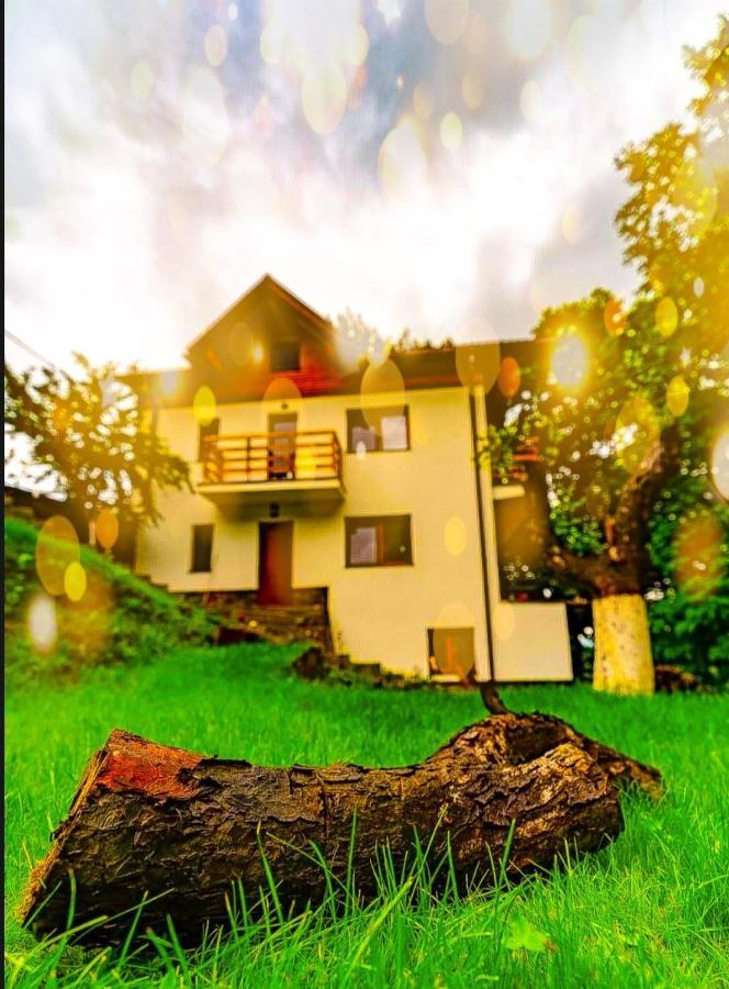 4Temporadas Villa Bran  Ngoại thất bức ảnh